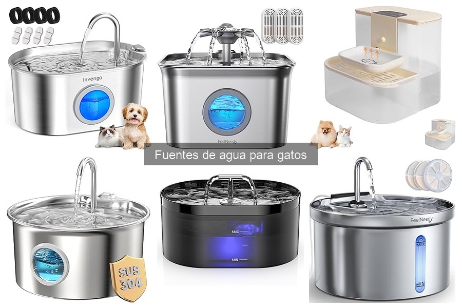 Diferencias entre Fuentes de Agua para Gatos y Perros