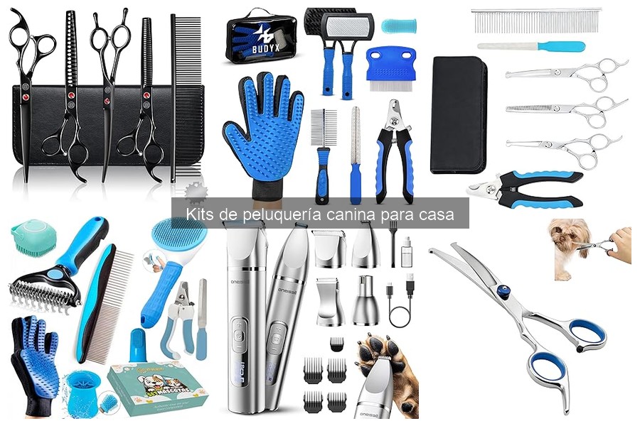 Diferencias entre kits de peluquería profesional y domésticos