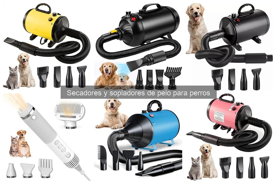 Diferencias entre secadores de pelo para perros y gatos