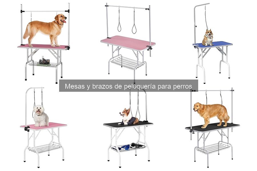 Diferentes Tipos de Mesas de Peluquería para Perros