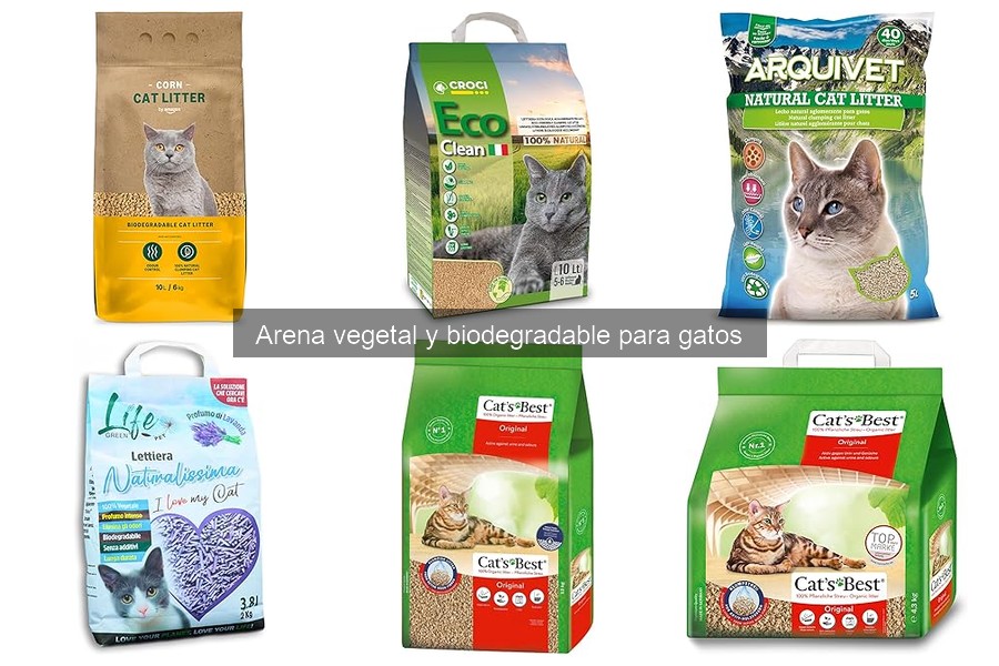 Dónde comprar arena biodegradable para gatos: guía completa