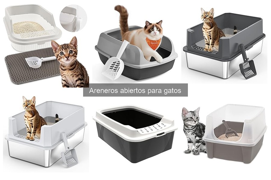 Dónde comprar areneros abiertos para gatos al mejor precio