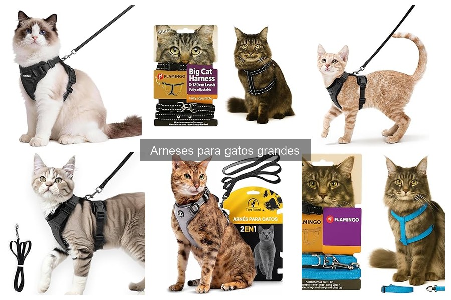 Dónde comprar arneses para gatos grandes: opciones y precios