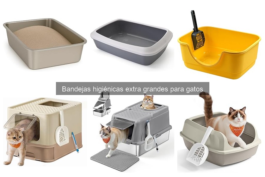 Dónde comprar bandejas higiénicas extra grandes para gatos
