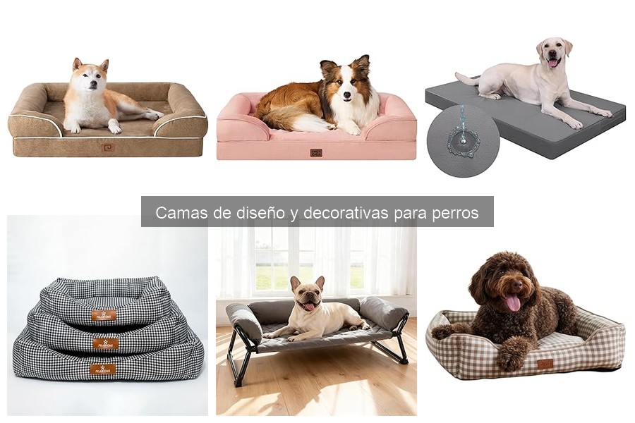 Dónde comprar camas de diseño para perros al mejor precio