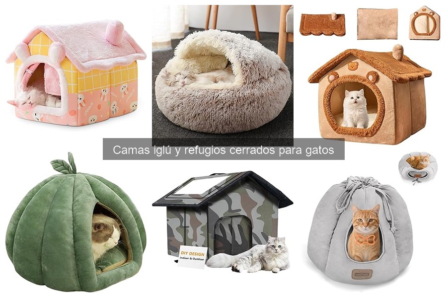 Dónde comprar camas iglú para gatos en línea