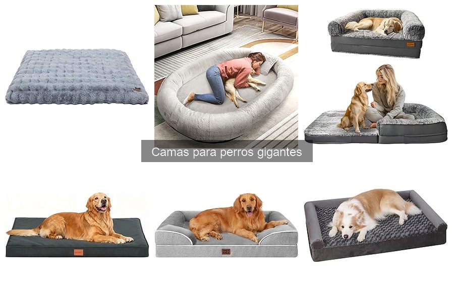 Dónde comprar camas para perros gigantes: guía y recomendaciones