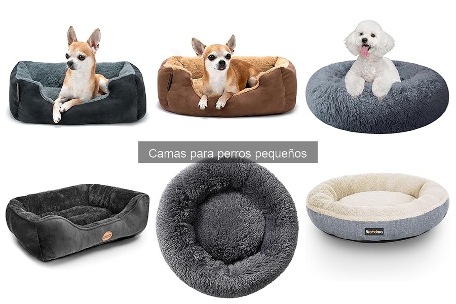Dónde comprar camas para perros pequeños a buen precio