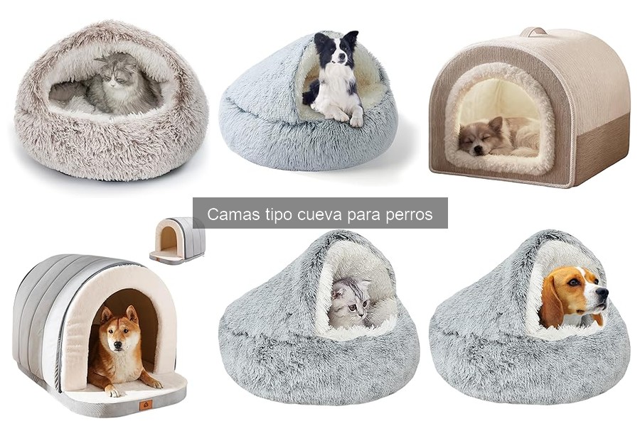Dónde comprar camas tipo cueva para perros: opciones y precios