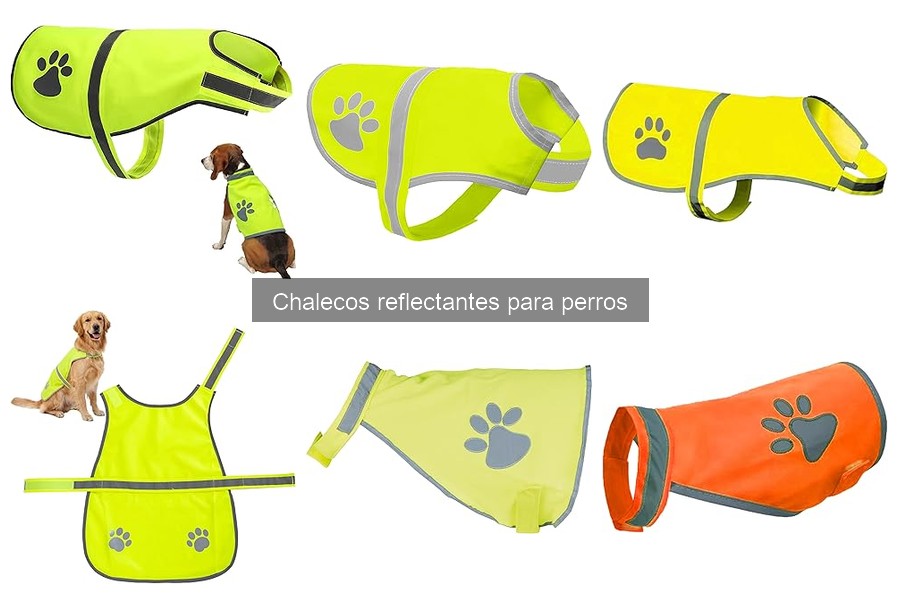 Dónde comprar chalecos reflectantes para perros al mejor precio