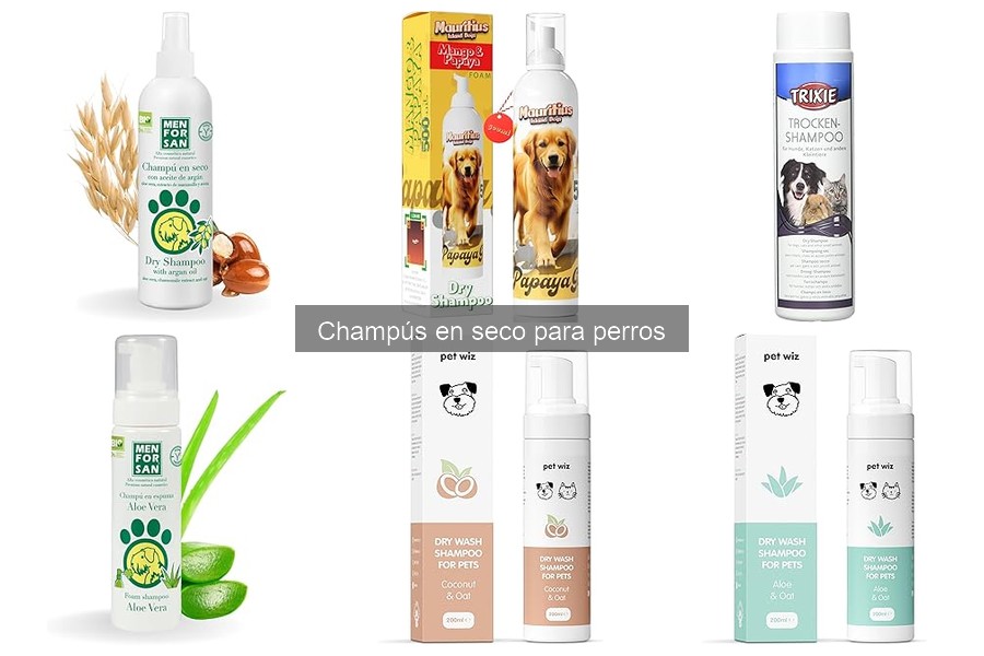 Dónde comprar champú en seco para perros: precios y ofertas