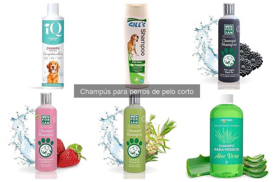 Dónde comprar champús para perros de pelo corto en 2023