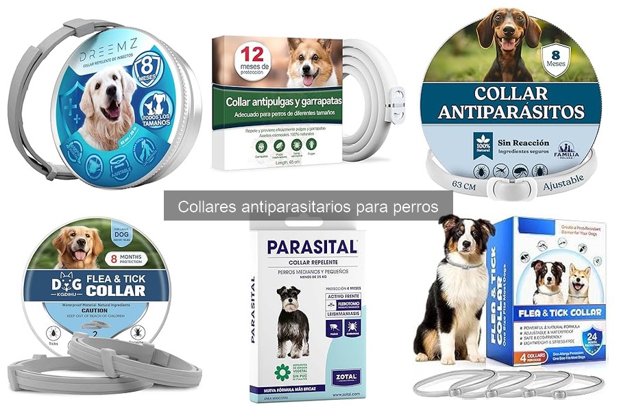 Dónde comprar collares antiparasitarios para perros fácilmente