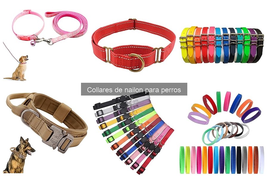 Dónde comprar collares de nailon para perros baratos