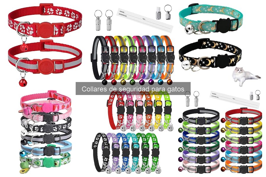 Dónde comprar collares de seguridad para gatos y mejores ofertas