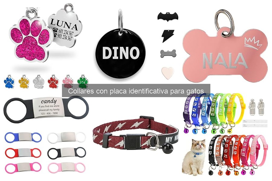 Dónde comprar collares identificativos para gatos: mejores opciones