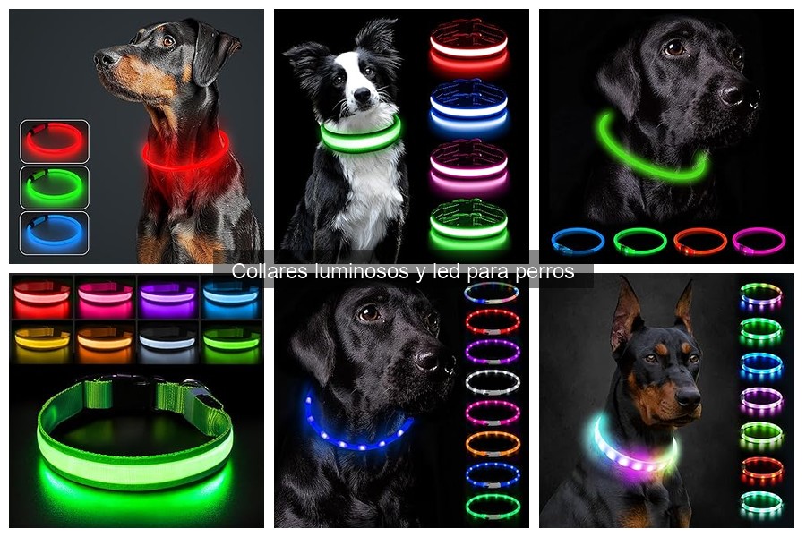 Dónde comprar collares luminosos para perros a buen precio