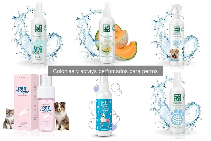 Dónde comprar colonias y sprays para perros: Mejoras opciones