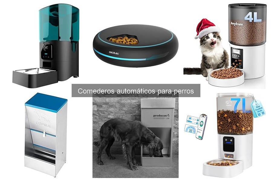 Dónde comprar comederos automáticos para perros: Mejores opciones