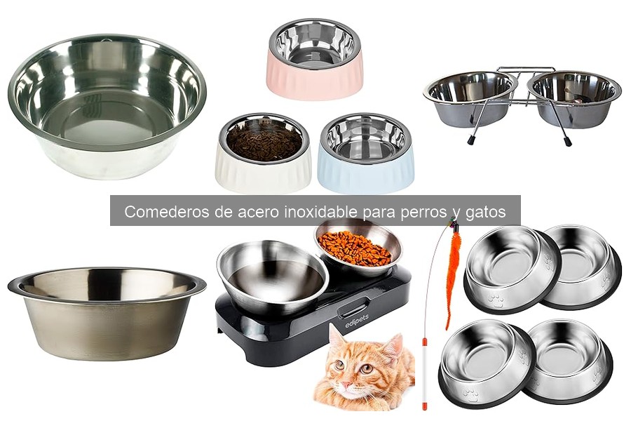 ¿Dónde comprar comederos de acero inoxidable baratos?