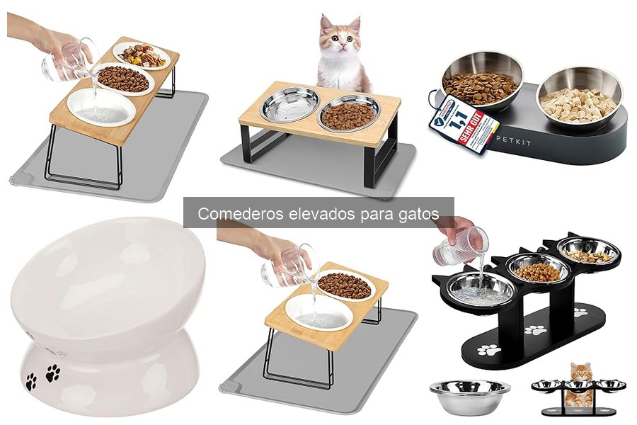 Dónde comprar comederos elevados para gatos a buen precio