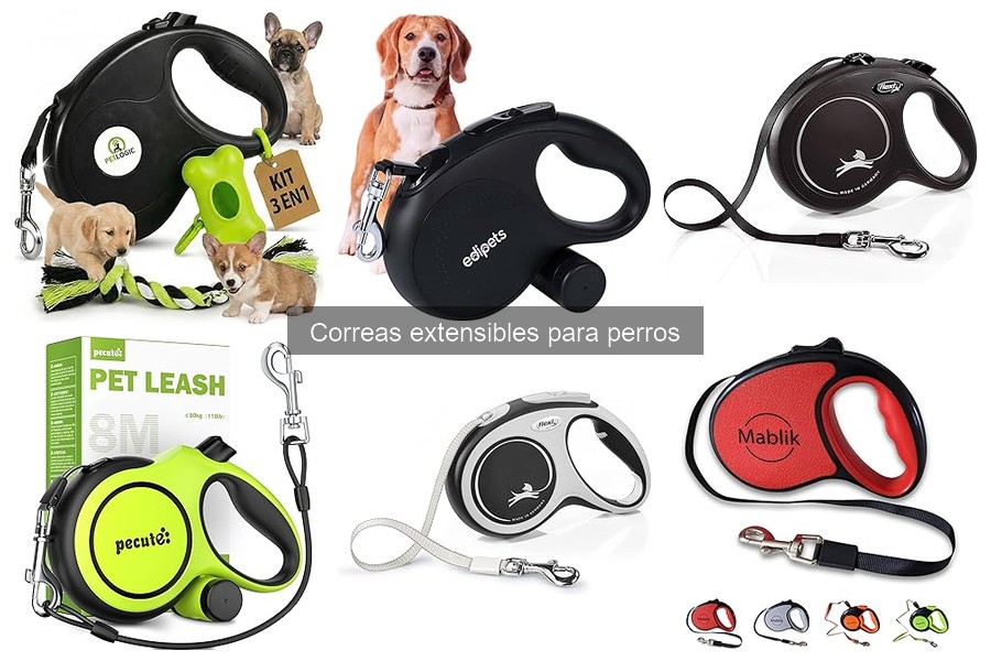 Dónde comprar correas extensibles para perros: Mejores opciones