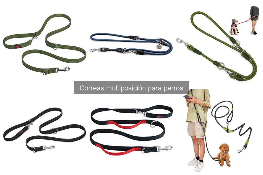 Dónde comprar correas multiposición para perros: Guía completa