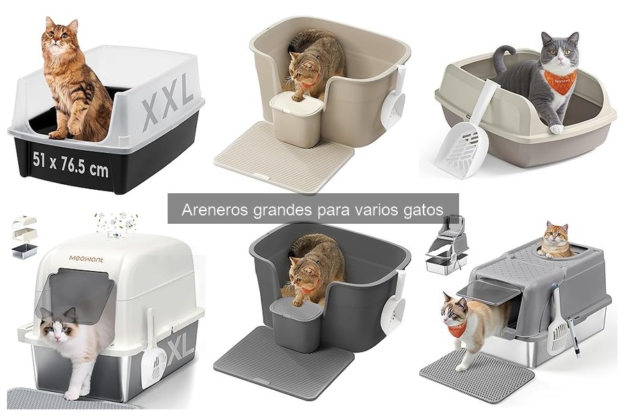 Dónde comprar el mejor arenero grande para varios gatos