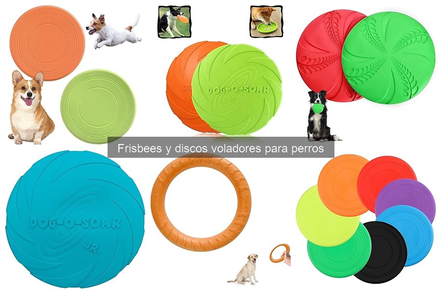 Dónde comprar frisbees para perros a buen precio