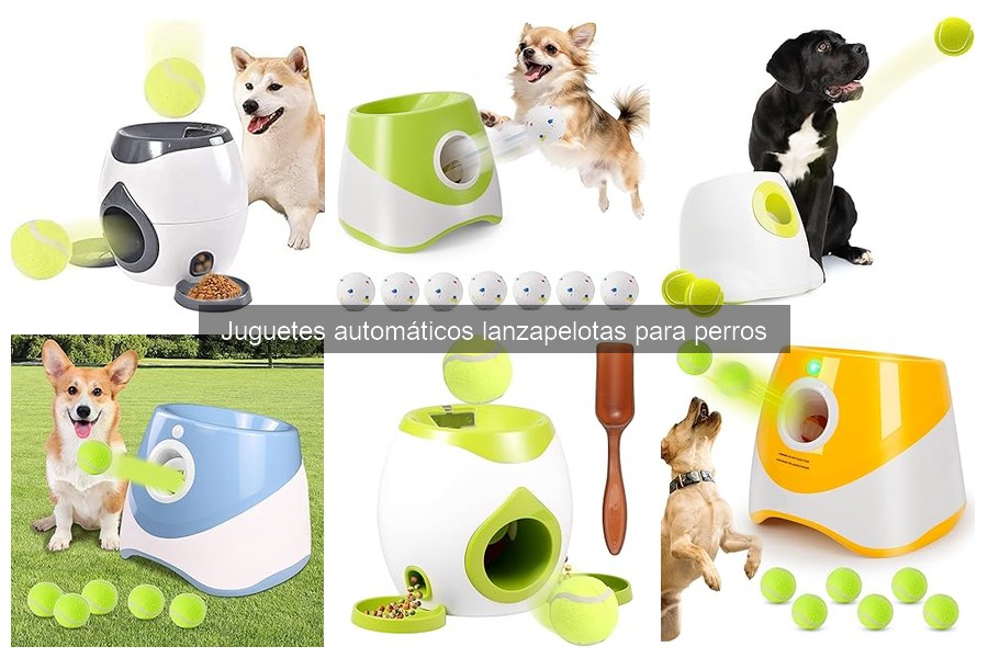 Dónde comprar juguetes automáticos lanzapelotas para perros