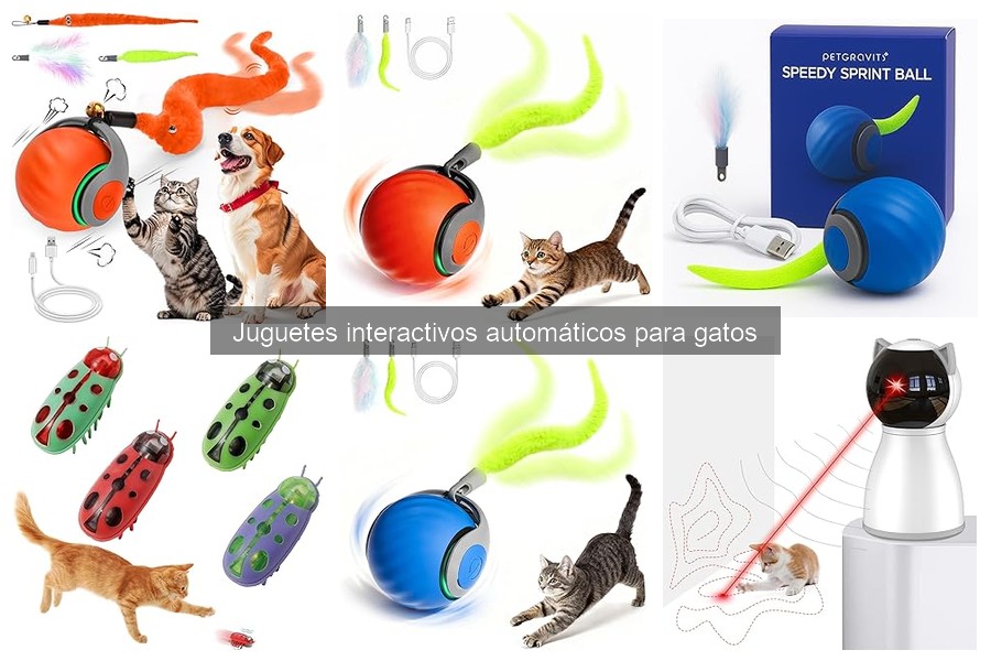 Dónde Comprar Juguetes Interactivos Automáticos para Gatos
