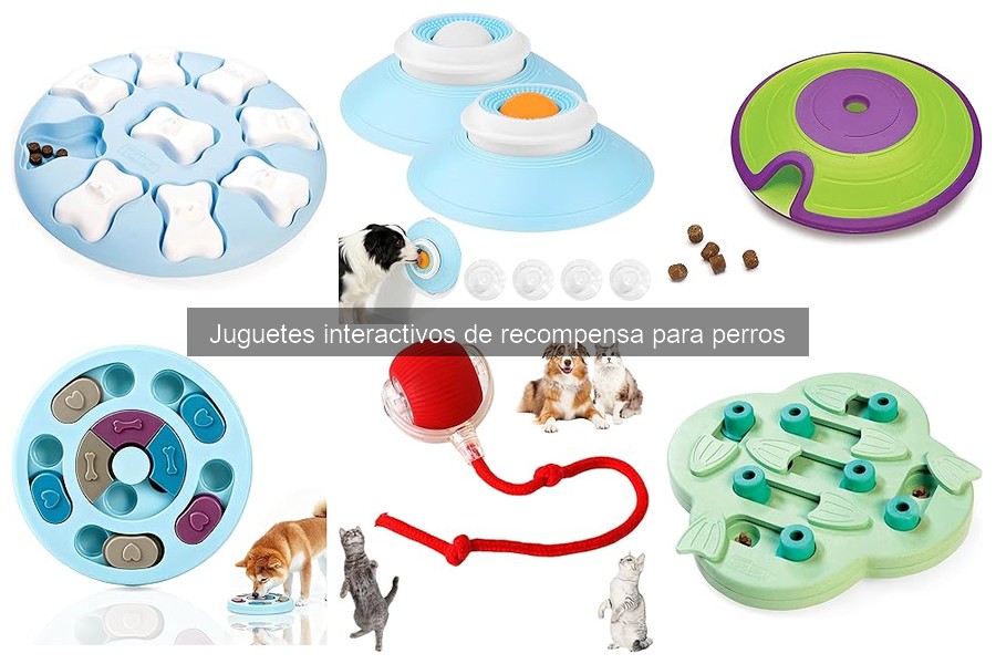Dónde comprar juguetes interactivos de recompensa para perros