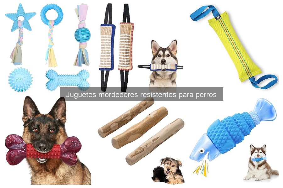 Dónde Comprar Juguetes Mordedores Resistentes para Perros