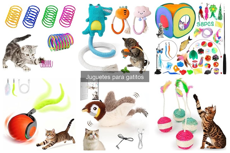 Dónde comprar juguetes para gatitos a buen precio