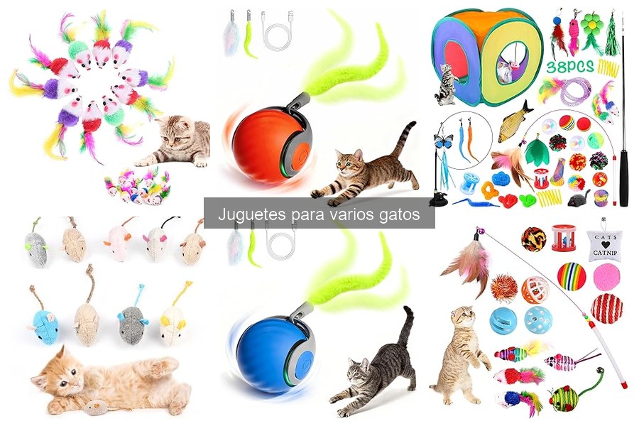 Dónde comprar juguetes para gatos en oferta: guías y tips
