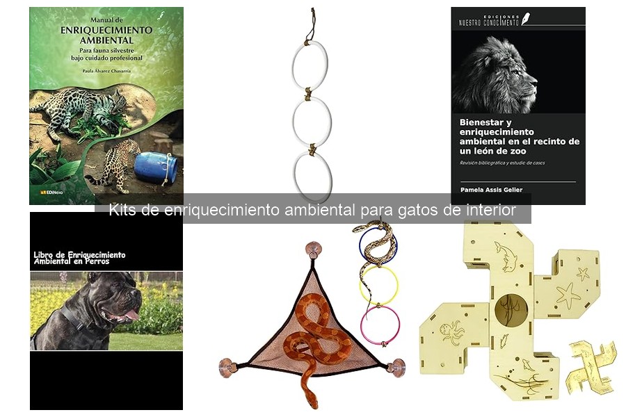 Dónde comprar kits de enriquecimiento ambiental para gatos económicos