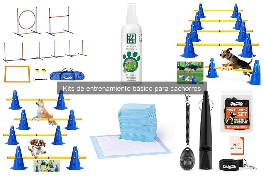 Dónde comprar kits de entrenamiento básicos para cachorros
