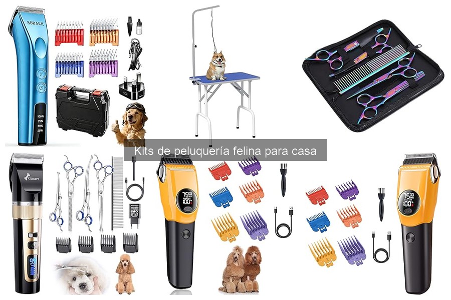 Dónde comprar kits de peluquería para gatos: guía y ofertas