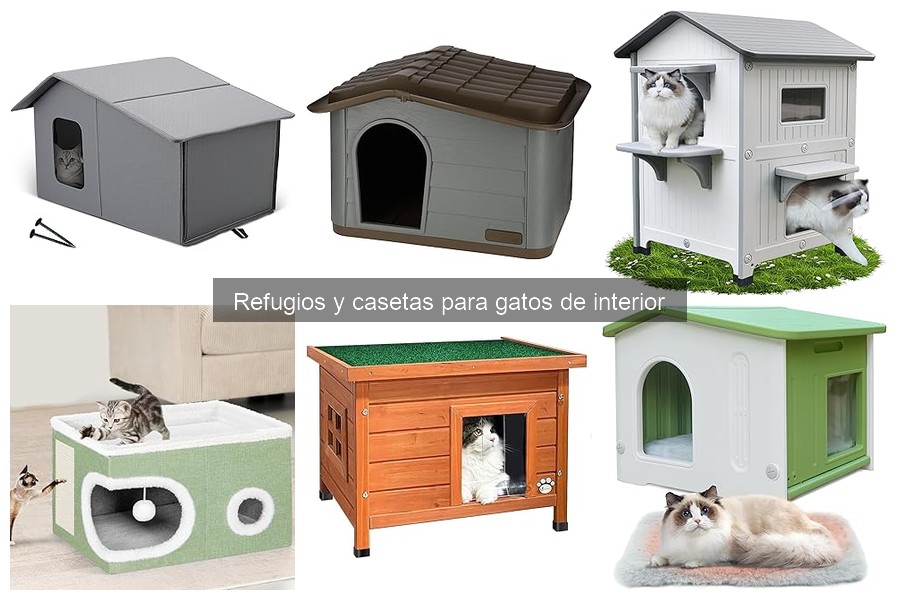 Dónde comprar las mejores casetas para gatos de interior