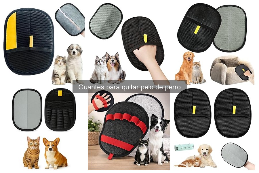 Dónde comprar los mejores guantes para quitar pelo de perro