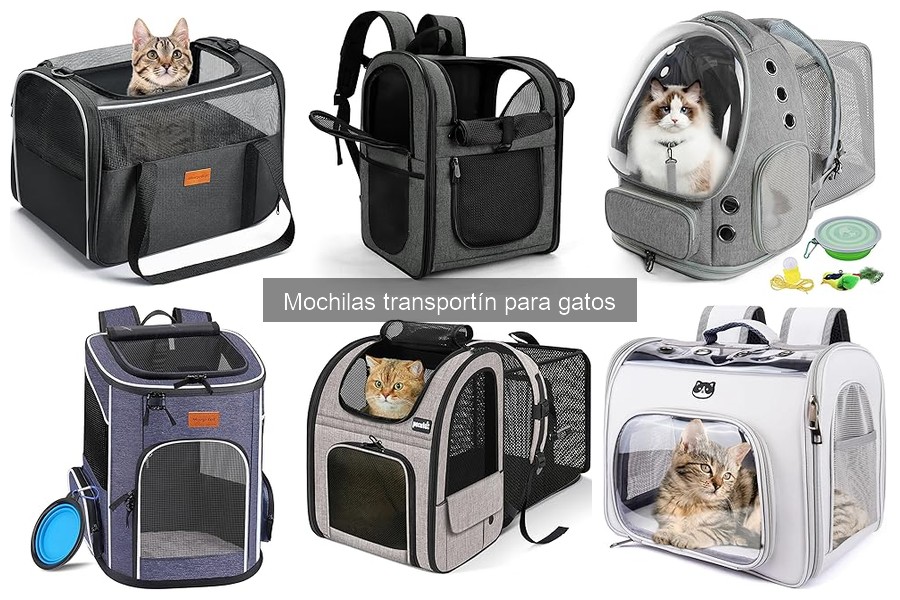 Dónde comprar mochilas transportín para gatos al mejor precio