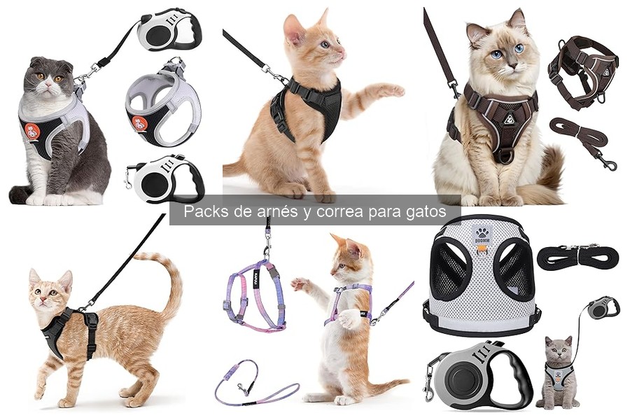 Dónde comprar packs de arnés y correa para gatos online
