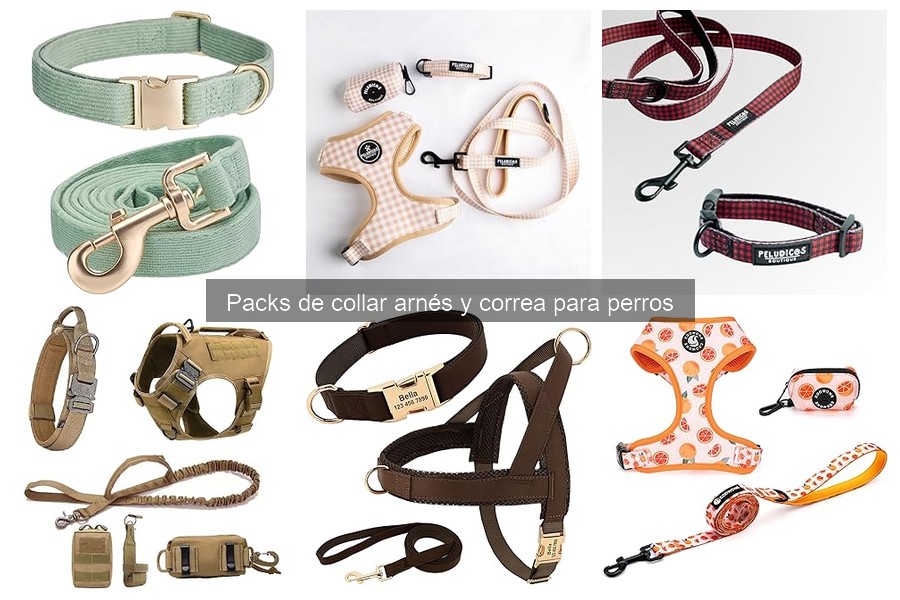 Dónde comprar packs de collar, arnés y correa para perros baratos