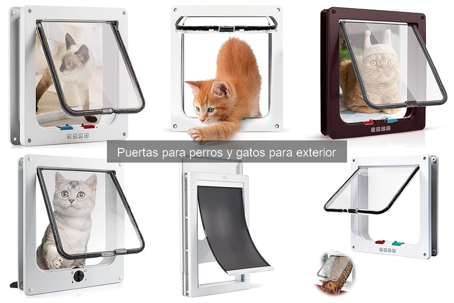 Dónde comprar puertas para perros y gatos de calidad