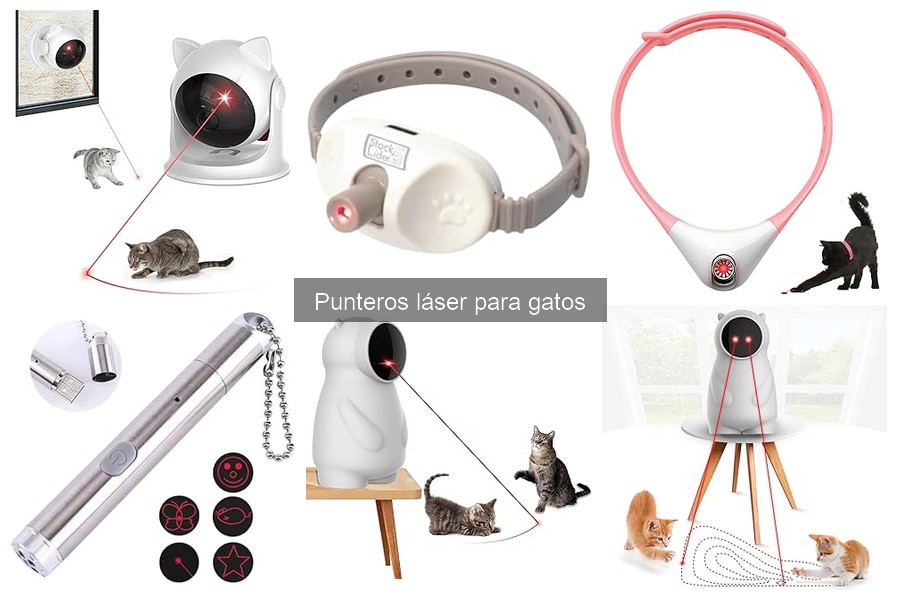 Dónde comprar punteros láser para gatos: mejores opciones online