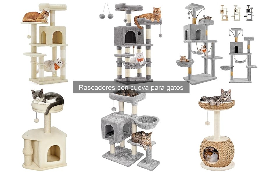 Dónde Comprar Rascadores con Cueva para Gatos y Precios