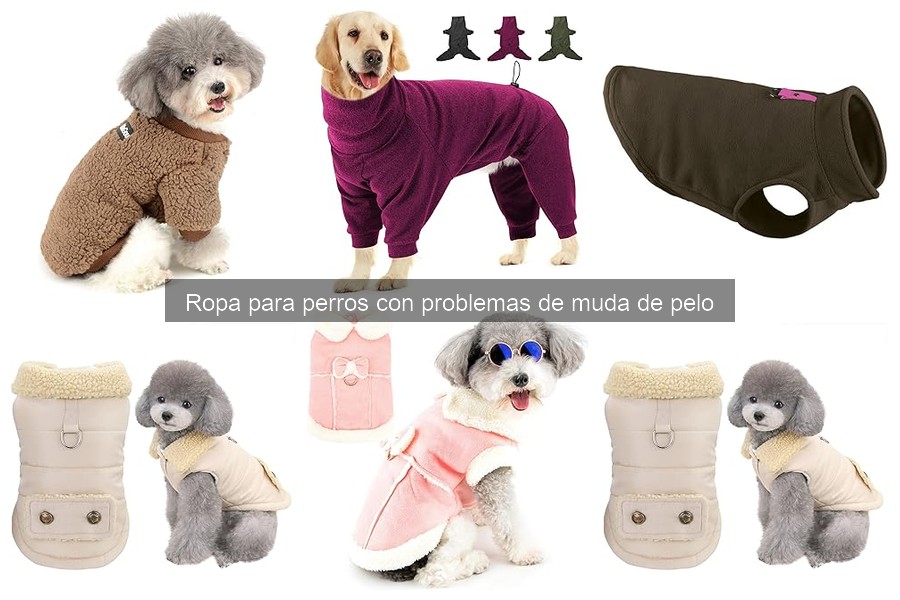 Dónde comprar ropa para perros que reduce la muda de pelo