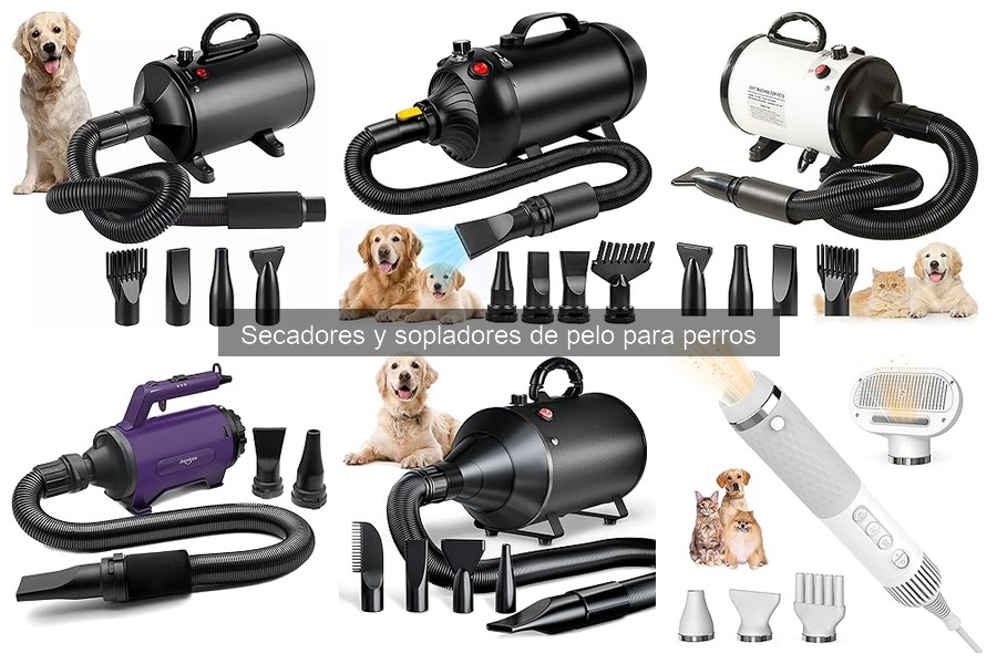 Dónde comprar secadores de pelo para perros a buen precio