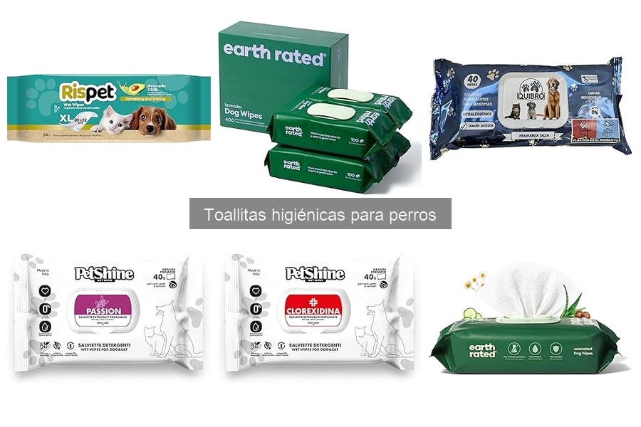 Dónde comprar toallitas higiénicas para perros a buen precio