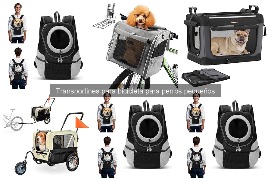 Dónde comprar transportín para bicicleta para perros pequeños